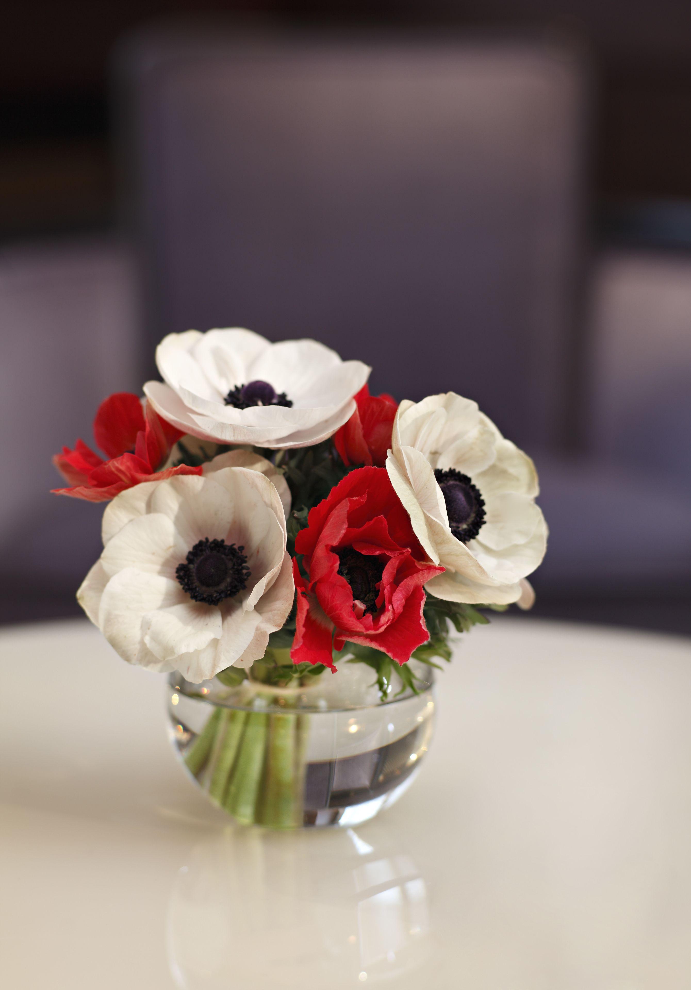 Splendid Etoile Parigi